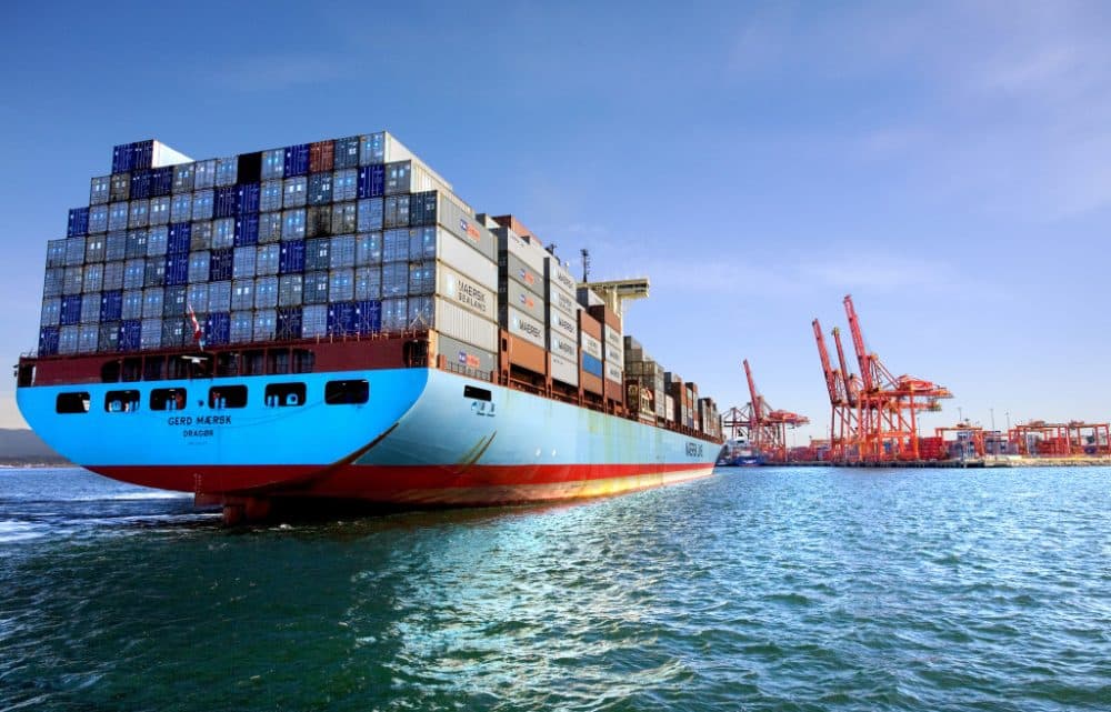 Image Saving the Whales Benefits Shipowners
